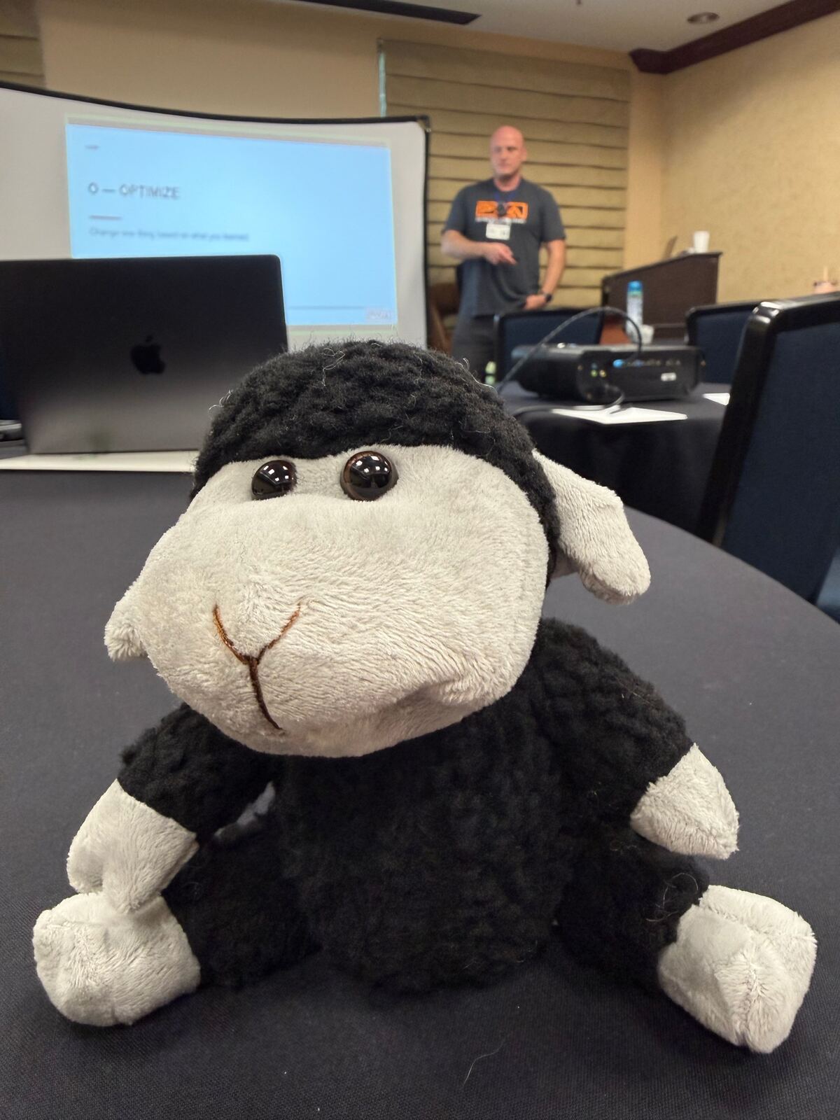 The Black Sheep mascot on a classroom table